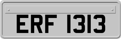 ERF1313