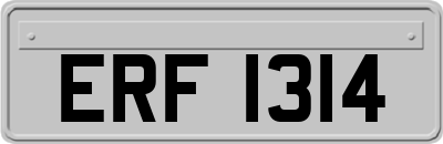 ERF1314