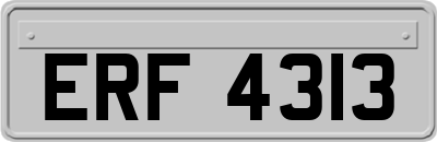 ERF4313