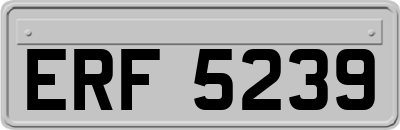 ERF5239