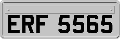 ERF5565