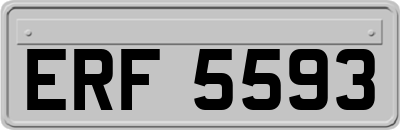 ERF5593