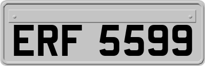 ERF5599