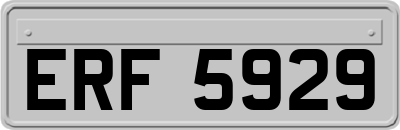 ERF5929
