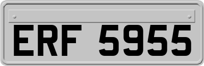 ERF5955