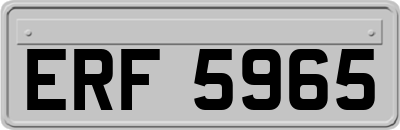 ERF5965