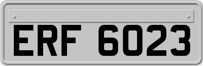 ERF6023