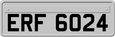 ERF6024