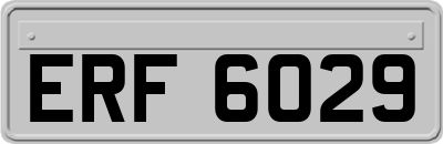 ERF6029