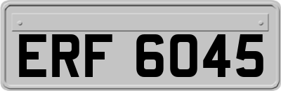 ERF6045