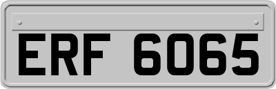 ERF6065