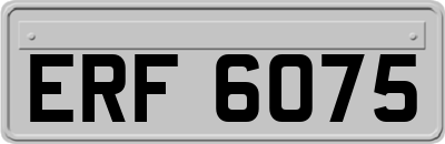 ERF6075