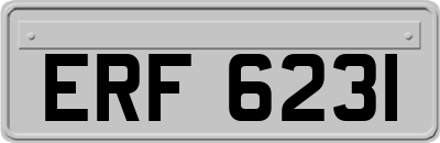 ERF6231