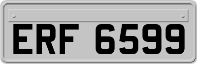 ERF6599