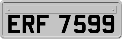 ERF7599