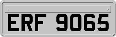 ERF9065