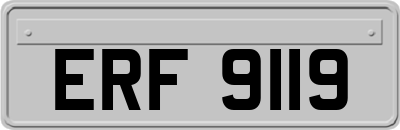 ERF9119