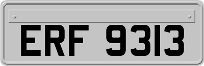 ERF9313