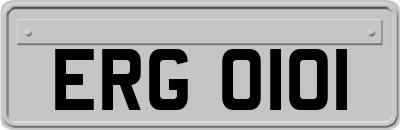 ERG0101