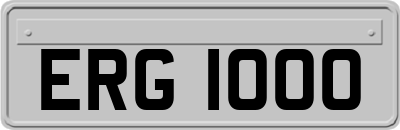 ERG1000