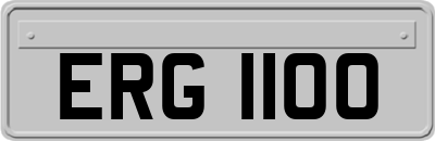 ERG1100