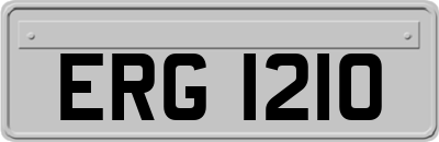 ERG1210