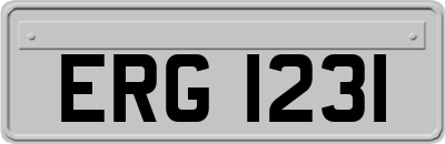 ERG1231