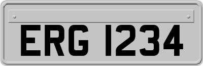 ERG1234
