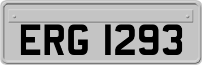 ERG1293