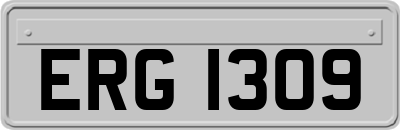 ERG1309
