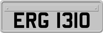 ERG1310