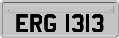 ERG1313
