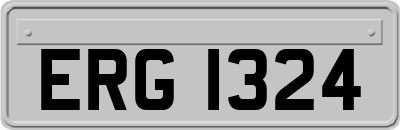 ERG1324