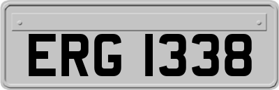 ERG1338