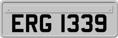 ERG1339