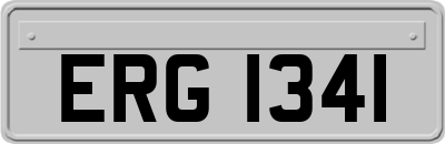 ERG1341