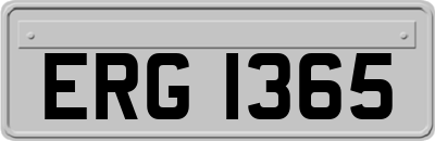 ERG1365