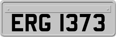 ERG1373