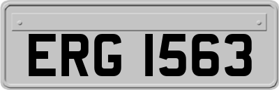 ERG1563
