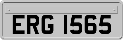 ERG1565