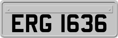 ERG1636