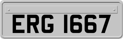 ERG1667