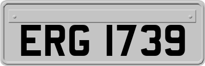 ERG1739