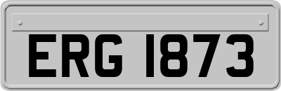 ERG1873