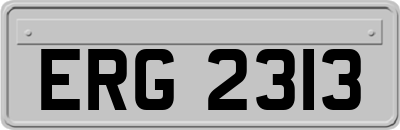 ERG2313