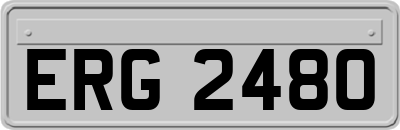 ERG2480