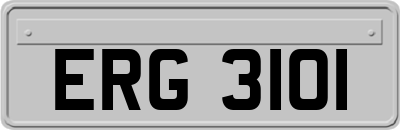 ERG3101
