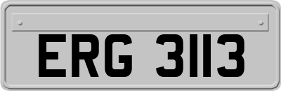 ERG3113