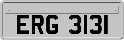 ERG3131