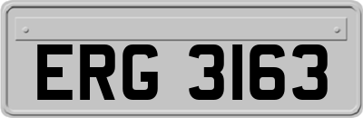 ERG3163